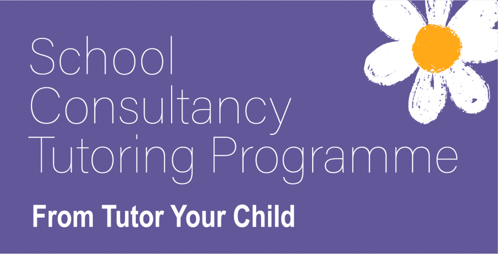 The School Consultancy Tutoring Programme